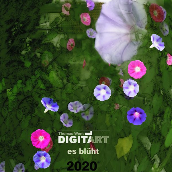 H-00-es-blüht-g-KK-2-1