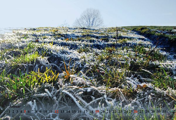 Kalender 2020 - Wälder und Wiesen – Bild 2