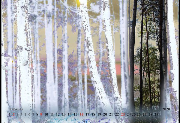 Kalender 2020 - Wälder und Wiesen – Bild 3