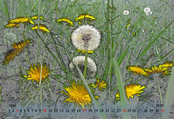 Kalender 2020 - Wälder und Wiesen – Bild 6