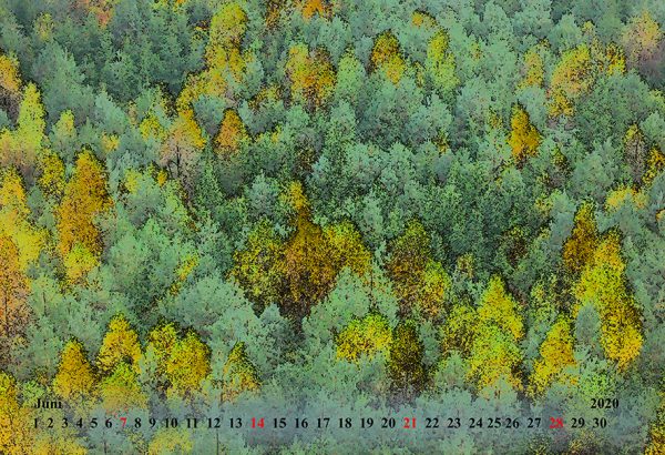 Kalender 2020 - Wälder und Wiesen – Bild 7