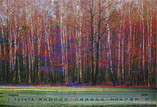 Kalender 2020 - Wälder und Wiesen – Bild 9