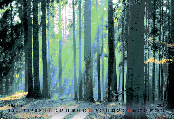Kalender 2020 - Wälder und Wiesen – Bild 11