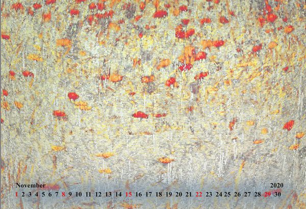Kalender 2020 - Wälder und Wiesen – Bild 12